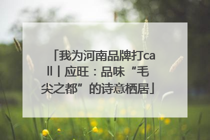 我为河南品牌打call丨应旺：品味“毛尖之都”的诗意栖居
