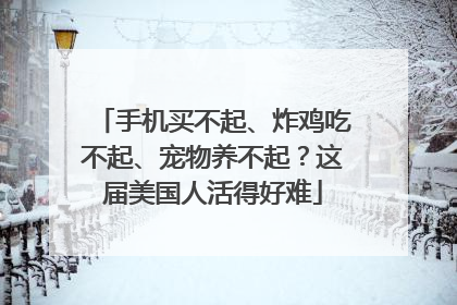 手机买不起、炸鸡吃不起、宠物养不起？这届美国人活得好难
