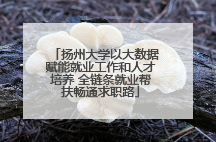 扬州大学以大数据赋能就业工作和人才培养 全链条就业帮扶畅通求职路