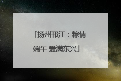 扬州邗江：粽情端午 爱满东兴