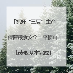 抓好“三夏”生产 保障粮食安全！平顶山市麦收基本完成