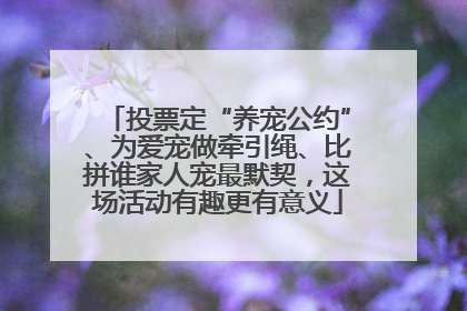投票定“养宠公约”、为爱宠做牵引绳、比拼谁家人宠最默契，这场活动有趣更有意义