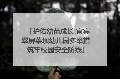 护佑幼苗成长 宜宾翠屏菜坝幼儿园多举措筑牢校园安全防线
