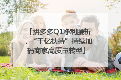 拼多多Q1净利腰斩，“千亿扶持”持续加码商家高质量转型