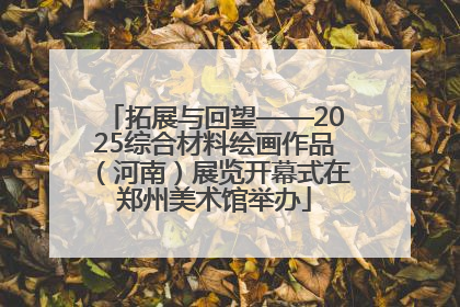 拓展与回望——2025综合材料绘画作品（河南）展览开幕式在郑州美术馆举办