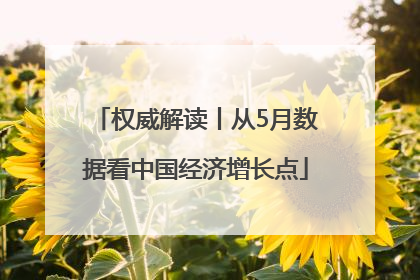 权威解读丨从5月数据看中国经济增长点