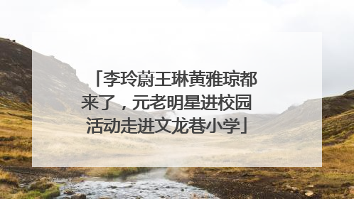 李玲蔚王琳黄雅琼都来了，元老明星进校园活动走进文龙巷小学
