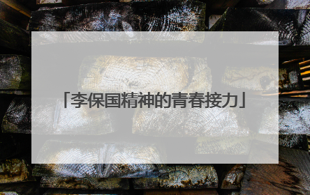 李保国精神的青春接力