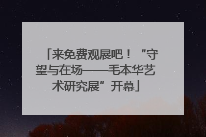 来免费观展吧！“守望与在场——毛本华艺术研究展”开幕