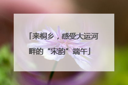 来桐乡，感受大运河畔的“宋韵”端午