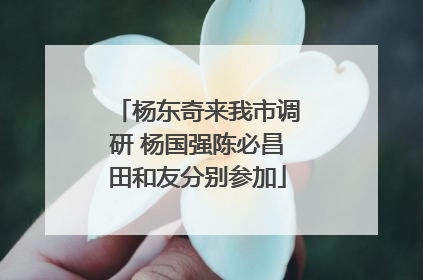 杨东奇来我市调研 杨国强陈必昌田和友分别参加