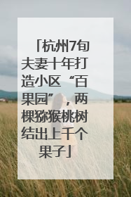 杭州7旬夫妻十年打造小区“百果园”，两棵猕猴桃树结出上千个果子