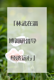 林武在淄博调研督导经济运行