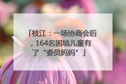枝江：一场协商会后，164名困境儿童有了“委员妈妈”