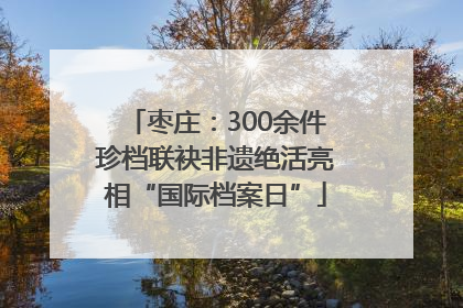 枣庄：300余件珍档联袂非遗绝活亮相“国际档案日”