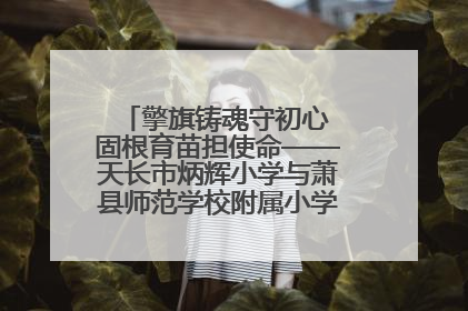 擎旗铸魂守初心 固根育苗担使命——天长市炳辉小学与萧县师范学校附属小学结对共建活动纪实