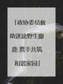 政协委员救助迷途野生麋鹿 携手共筑和谐家园