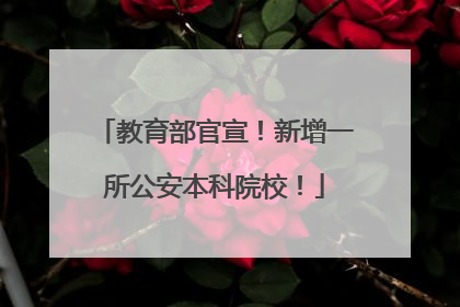 教育部官宣！新增一所公安本科院校！
