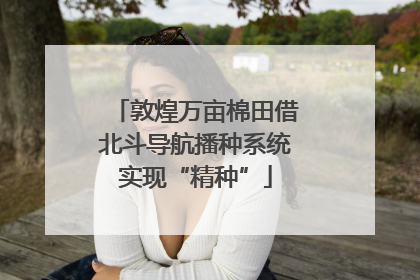 敦煌万亩棉田借北斗导航播种系统实现“精种”