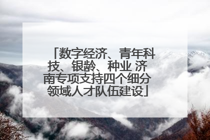 数字经济、青年科技、银龄、种业 济南专项支持四个细分领域人才队伍建设