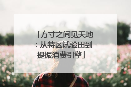 方寸之间见天地：从特区试验田到提振消费引擎