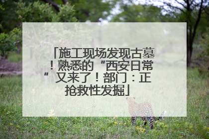 施工现场发现古墓！熟悉的“西安日常”又来了！部门：正抢救性发掘