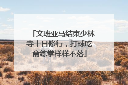 文班亚马结束少林寺十日修行，打球吃斋练拳样样不落