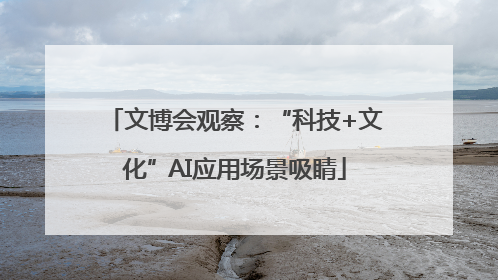 文博会观察：“科技+文化”AI应用场景吸睛