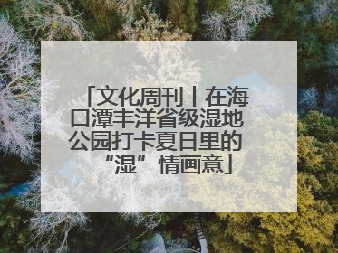 文化周刊丨在海口潭丰洋省级湿地公园打卡夏日里的“湿”情画意