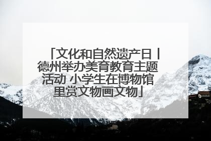 文化和自然遗产日丨德州举办美育教育主题活动 小学生在博物馆里赏文物画文物