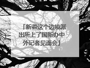 新疆这个边境派出所上了国新办中外记者见面会