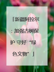 新疆阿拉尔：加强古树保护 守好“绿色文物”