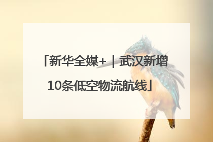 新华全媒+｜武汉新增10条低空物流航线