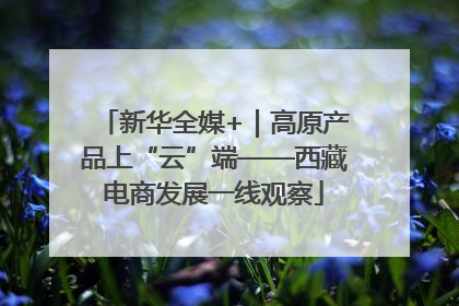 新华全媒+｜高原产品上“云”端——西藏电商发展一线观察