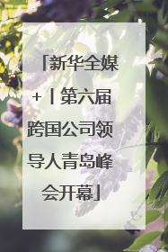 新华全媒+丨第六届跨国公司领导人青岛峰会开幕