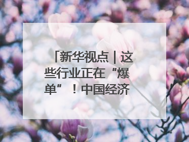 新华视点｜这些行业正在“爆单”！中国经济活力密码