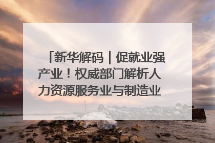 新华解码｜促就业强产业！权威部门解析人力资源服务业与制造业融合发展试点