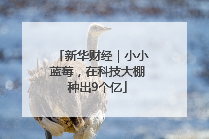 新华财经｜小小蓝莓，在科技大棚种出9个亿