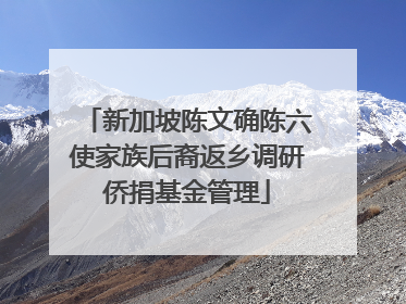 新加坡陈文确陈六使家族后裔返乡调研侨捐基金管理
