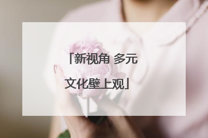 新视角 多元文化壁上观