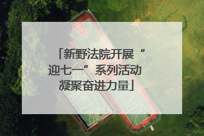 新野法院开展“迎七一”系列活动 凝聚奋进力量