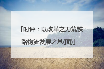 时评：以改革之力筑铁路物流发展之基(图)