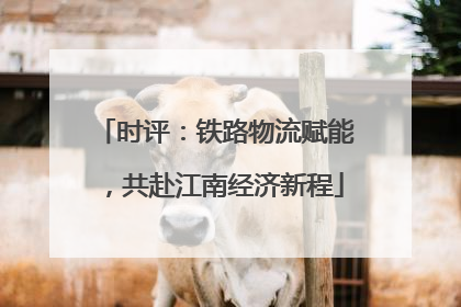 时评：铁路物流赋能，共赴江南经济新程