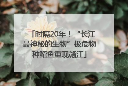 时隔20年！“长江最神秘的生物”极危物种鳤鱼重现赣江