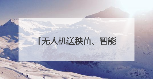 无人机送秧苗、智能“管家”巡田 解锁丰收背后的科技密码