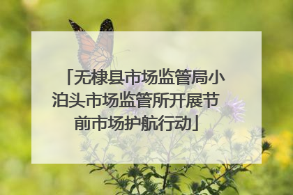 无棣县市场监管局小泊头市场监管所开展节前市场护航行动