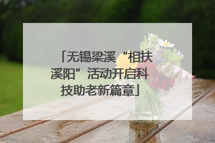 无锡梁溪“相扶溪阳”活动开启科技助老新篇章