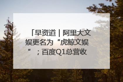 早资道｜阿里大文娱更名为“虎鲸文娱”；百度Q1总营收325亿元超预期