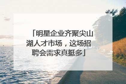 明星企业齐聚尖山湖人才市场，这场招聘会需求真挺多