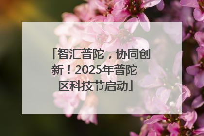 智汇普陀，协同创新！2025年普陀区科技节启动
